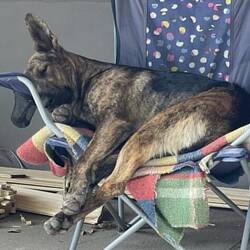 ...so realaxt wie wir auch bald!