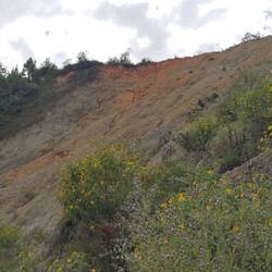 A portion of the landslide in Tzibanay caused by the storms Eta and Iota