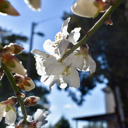 Der Frühling in den Startlöchern
