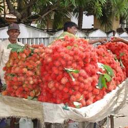 Rambutan, schmecken so wie Litschies