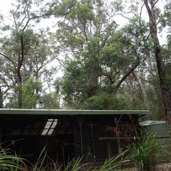 Giants Campsite, a typical hut on the Bibbulmun track