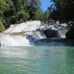 Ook Tom staat op de foto!