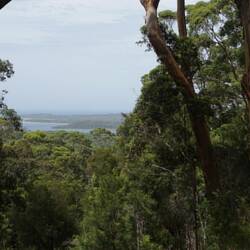 John Rate Lookout