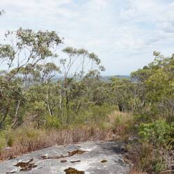 Obscured view at summit of Mt Clare