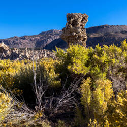 Mono Lake