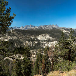Inyo National Forest