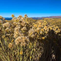 Mono Lake