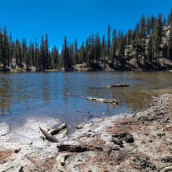 Inyo National Forest