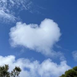 Love heart cloud 💙