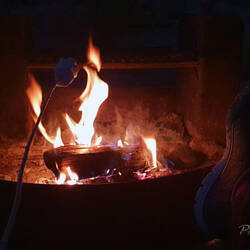 Mojave National Preserve