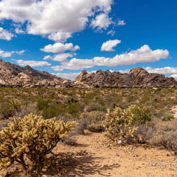 Mojave National Preserve