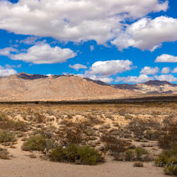 Mojave National Preserve