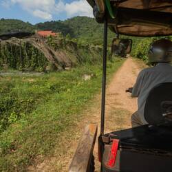 Fahrt zu den Pfeffer-Feldern. Kampot-Pfeffer gehört zu den besten der Welt