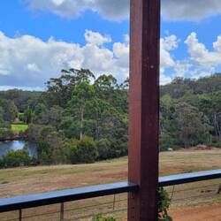 View from our table at Hidden River Estate