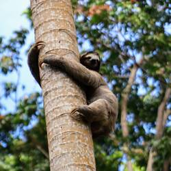 Wir sind begeistert von Fauli 😊