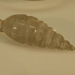 Roman glass sea shell