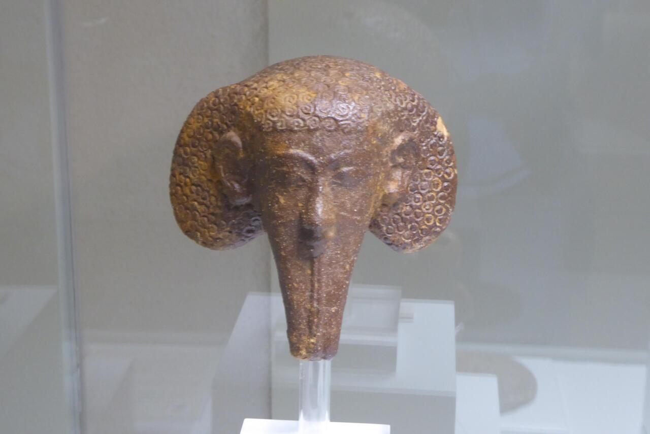 Phoenician head
