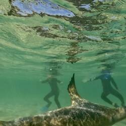 Brett, Brax and Lachie