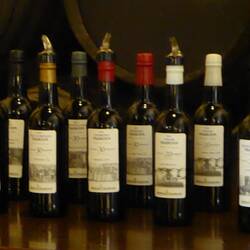 The range of sherries we tasted