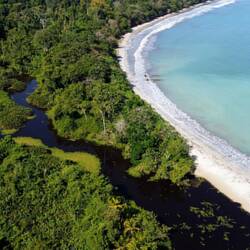 Flussmündung im Cahuita Nationalpark