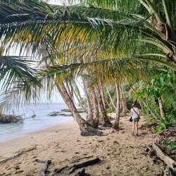Während der Tour wechseln wir häufig zwischen Dschungel- und Strandwegen