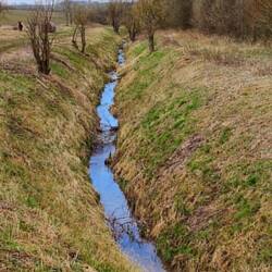 Weitzschkerbach