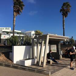 Waiting for an elusive bus