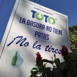 Sujet des déchets jetés le long des routes