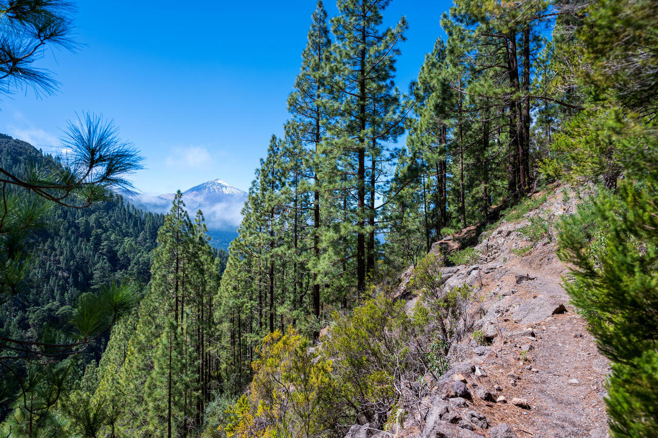 Wunderschöner Blick auf den Teide