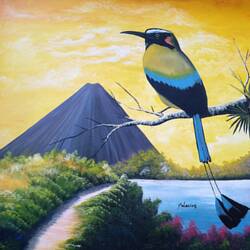 El Torogoz : l'oiseau emblème du Salvador