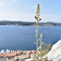 Festung heiliger Michael