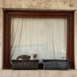 Hier wäre ich beim Umtopfen überfragt ☺️