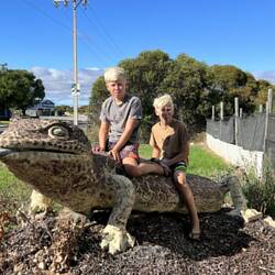 Big thing! Blue tongue lizard