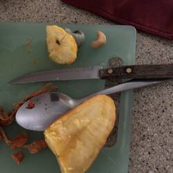 Mareñon with a cashew nut to show where it grows