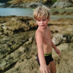 Tierwelt am Strand erkunden, seine Welt