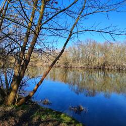 Saale bei Lettin