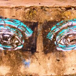 Big Brother is watching you!