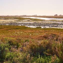 Natur gab's auch noch.