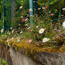 Capela de Nossa Senhora das Vitorias