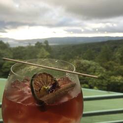 An evening at the Arenal Observatory and Lodge