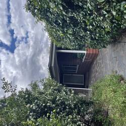 der Weg zu meinem Haus