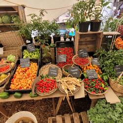 Oranjezicht Market🥭🥑🌶️🥕🌿🌾🥙🥗