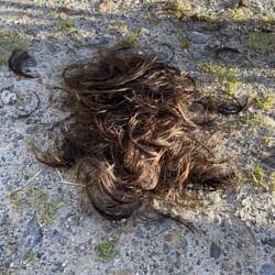 "Shave and go" by Mary 🪒