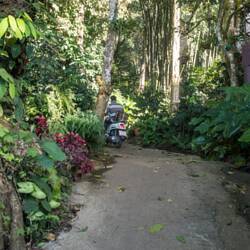 und hier hörte die "Straße" dann auch auf.