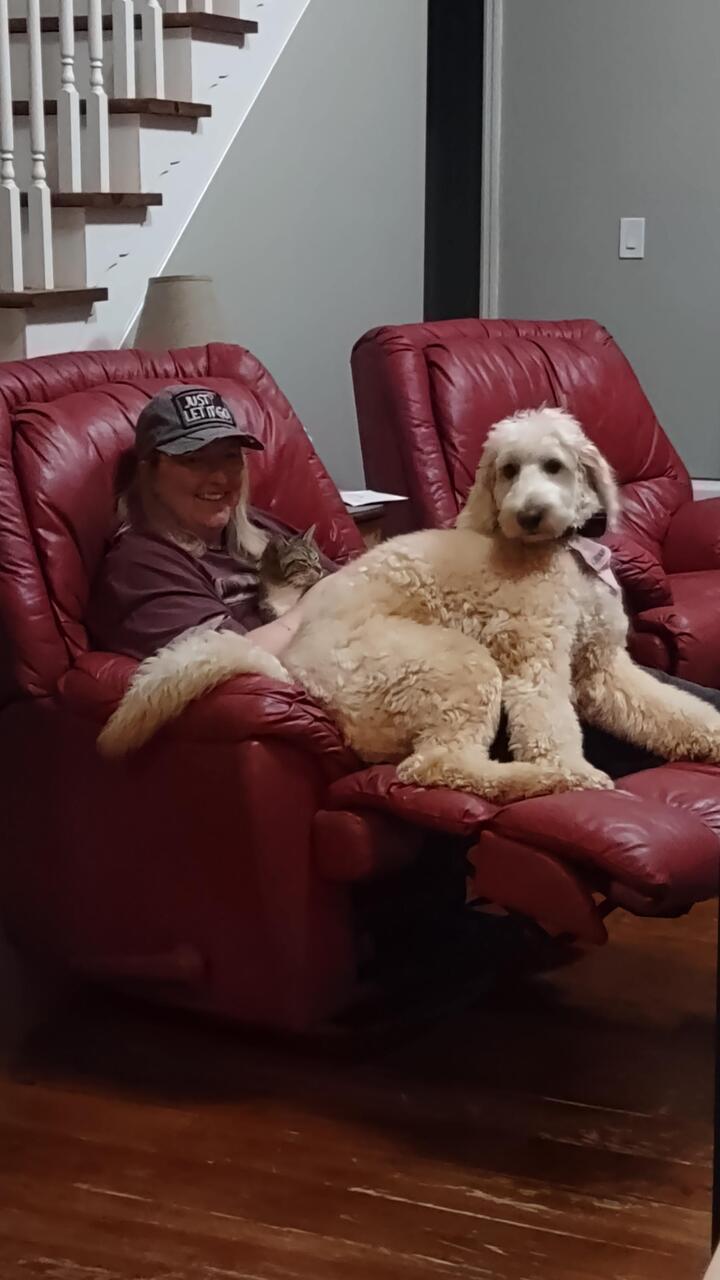 Micki, her Golden Doodle Tinsley, and Mike's cat Boots