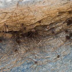 falschen Sitzplatz gewählt