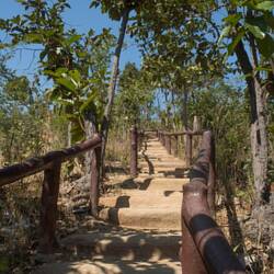 "Stairway to heaven"
