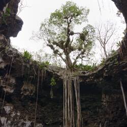 Cenote Xooch’