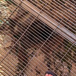 Abgedeckter Krater im Zentrum des Trichters