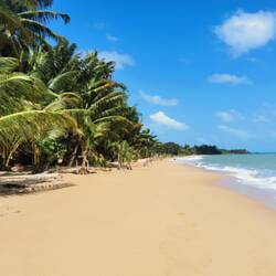 Strand Spaziergang... 👍☀️🌊🌴